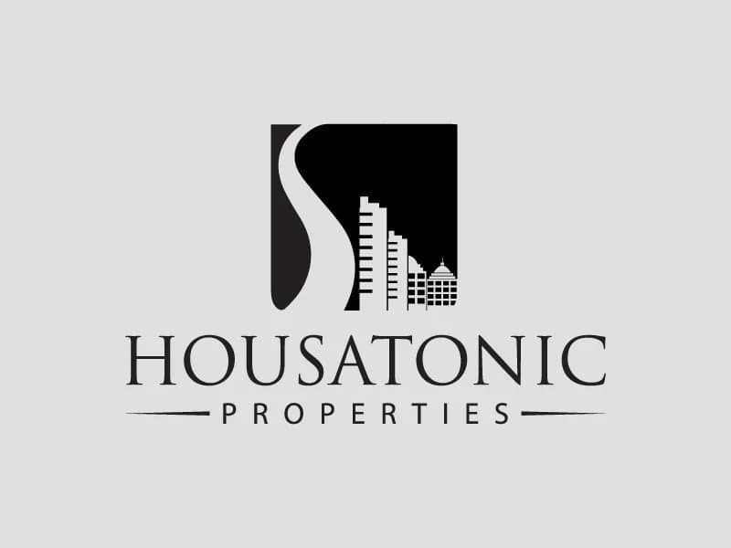 Logo — Light background