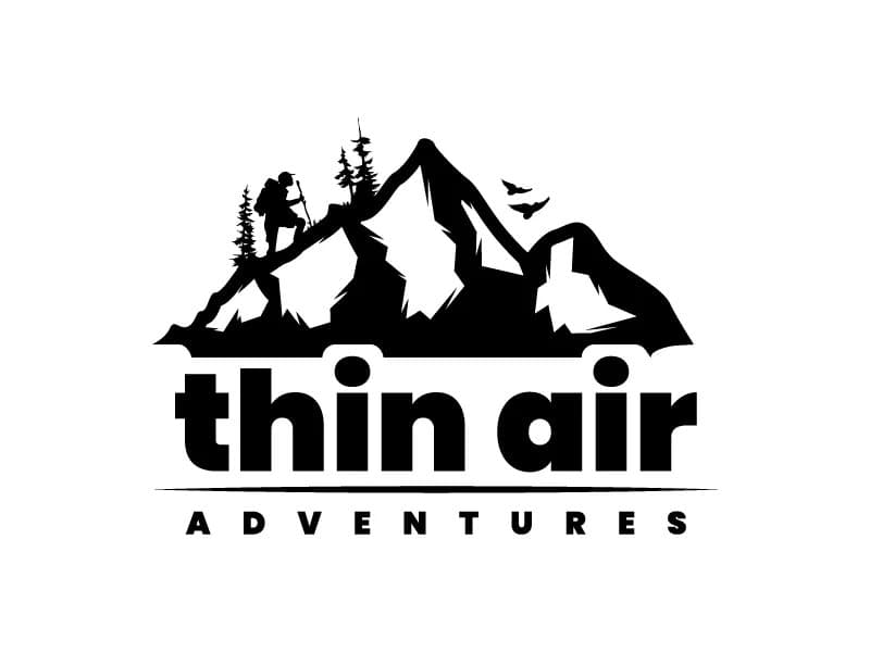 Logo — Light background